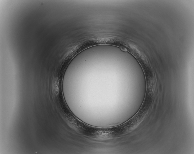 X0000116820495200912241243