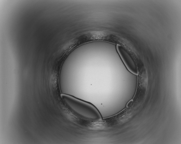 X0000116820505200912241243