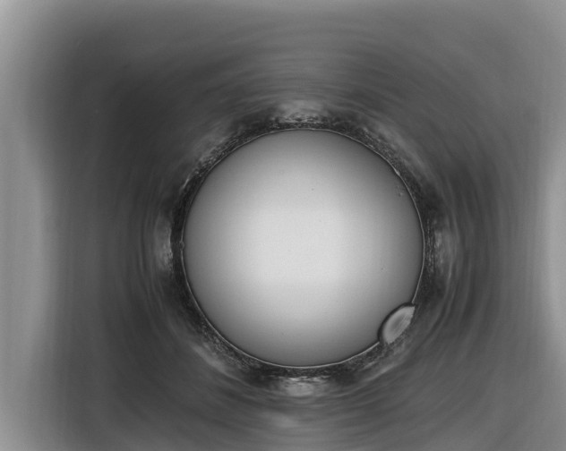 X0000116820508200912241243