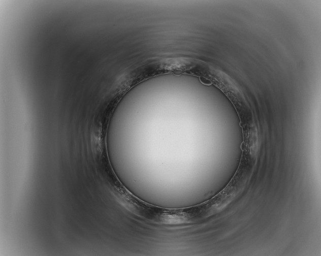 X0000116820510200912241243