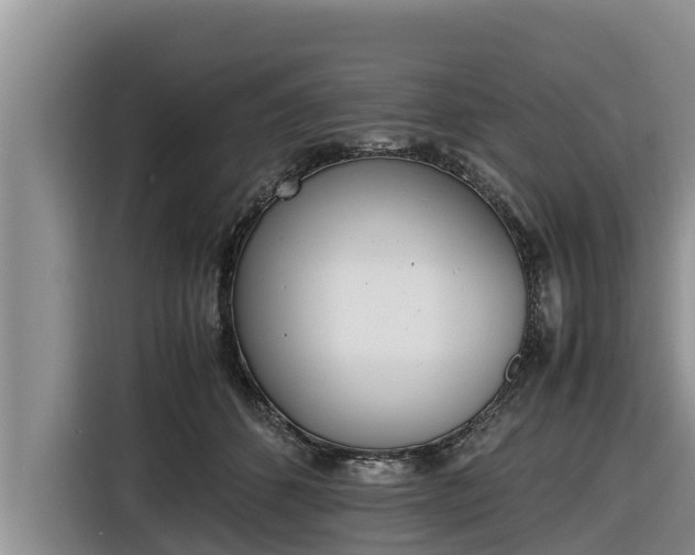 X0000116820512200912241243