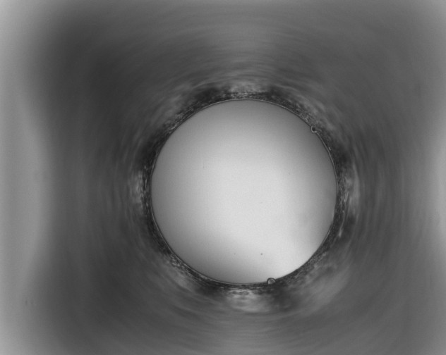 X0000116820519200912241243