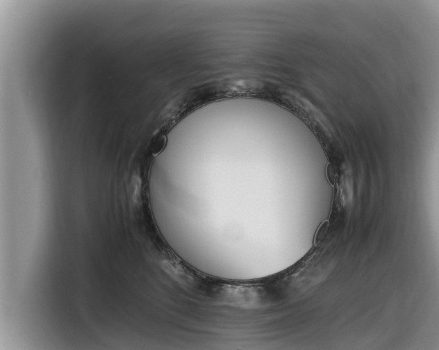 X0000116820520200912241243