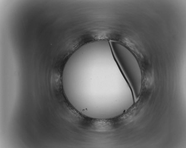 X0000116820521200912241243