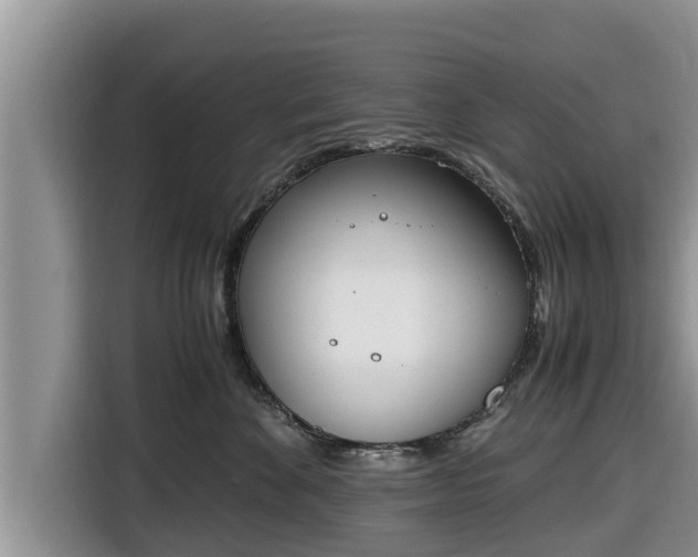 X0000116820524200912241243