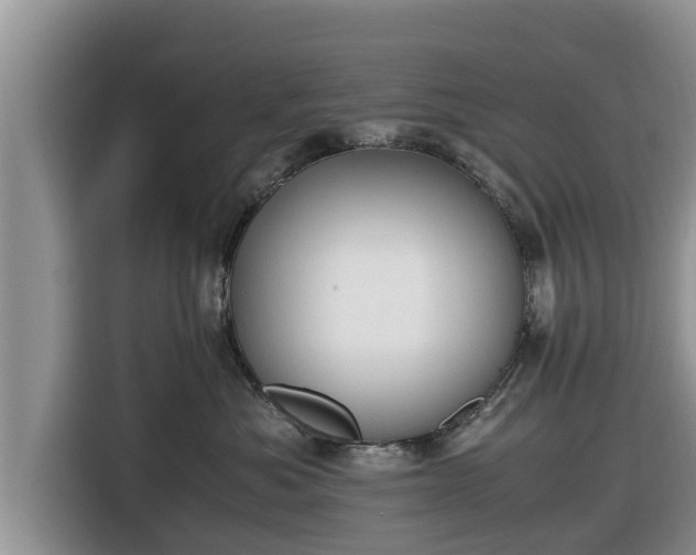 X0000116820525200912241243