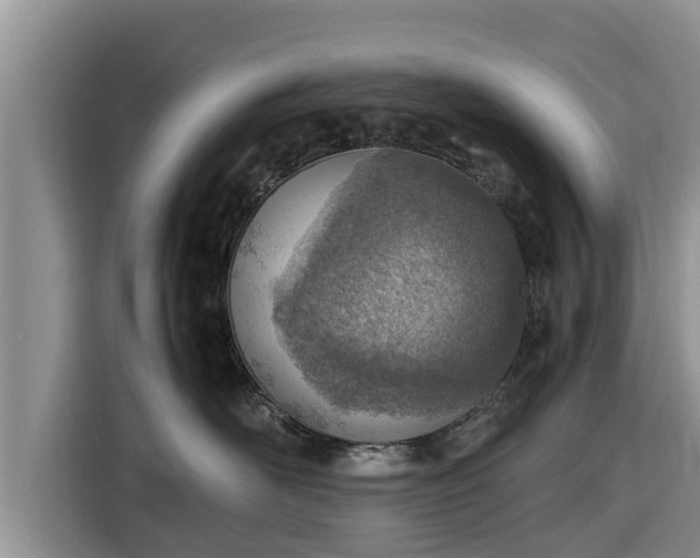 X0000116820526200912241243