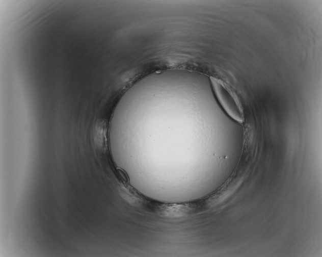 X0000116820527200912241243