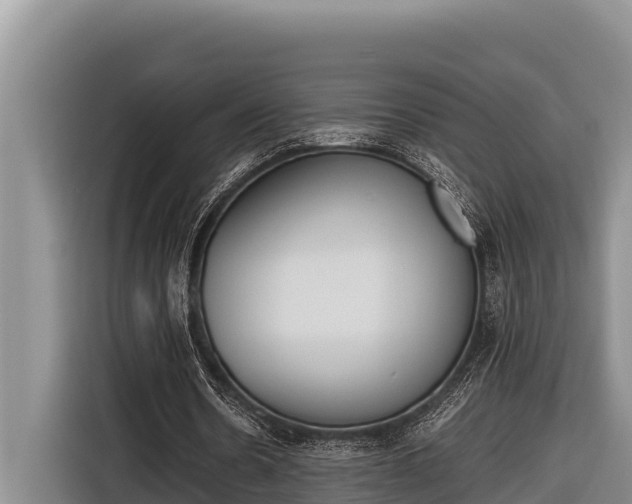 X0000116820530200912241242