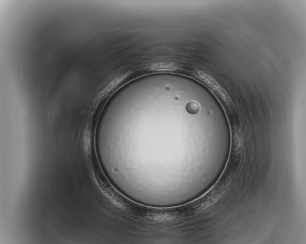 X0000116820533200912241242