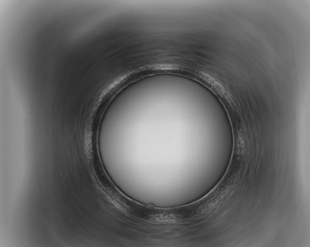 X0000116820535200912241242