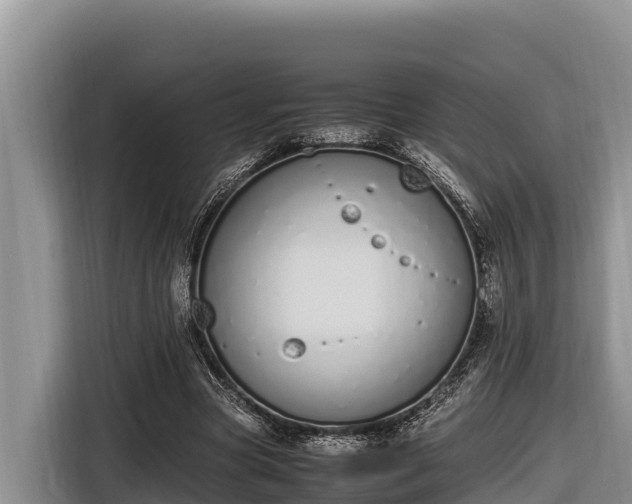 X0000116820537200912241243