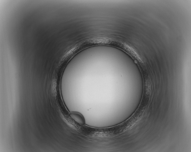 X0000116820538200912241243