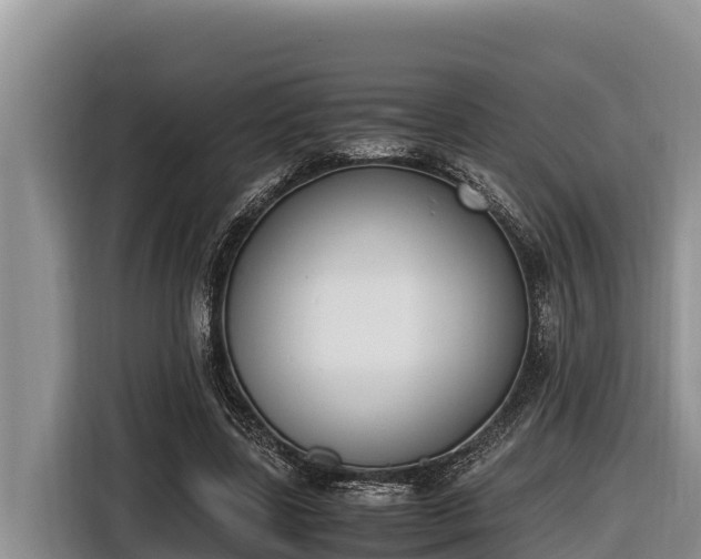 X0000116820539200912241243