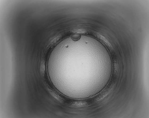 X0000116820541200912241243