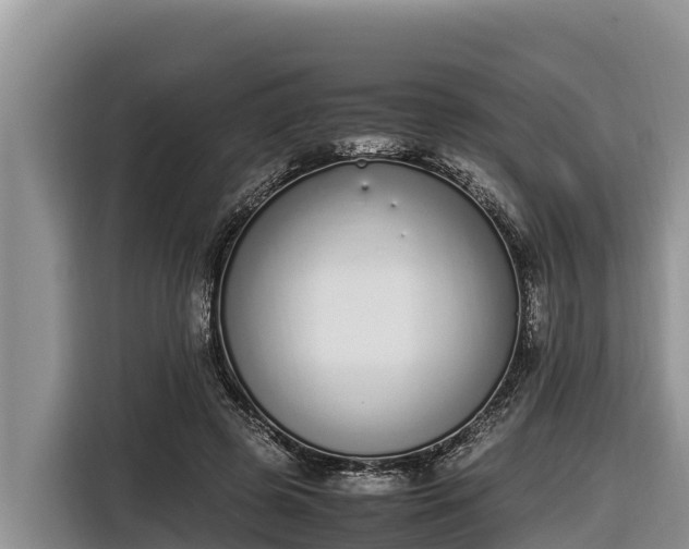 X0000116820545200912241243