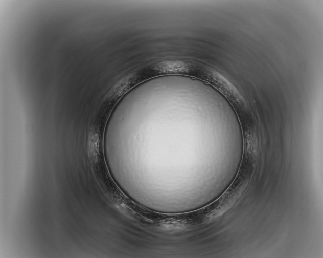 X0000116820549200912241243