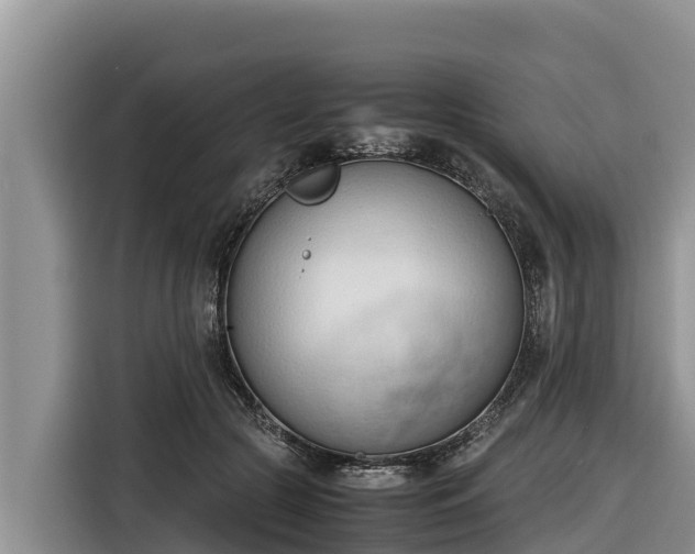 X0000116820553200912241243