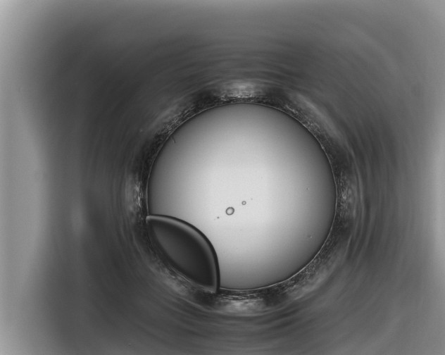 X0000116820555200912241243