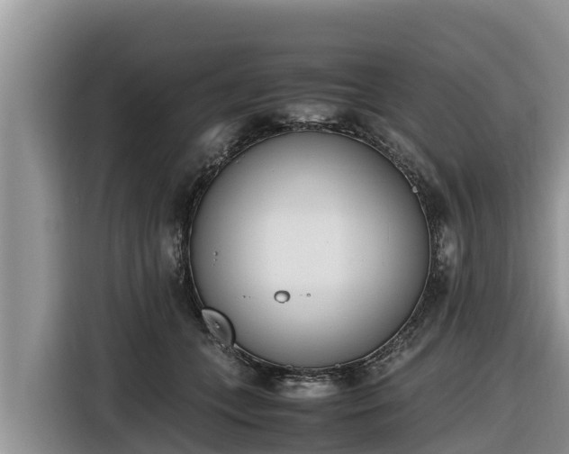 X0000116820559200912241243