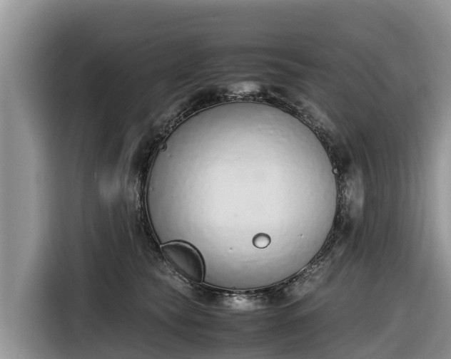 X0000116820565200912241243