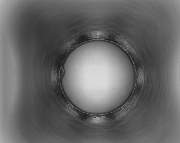 X0000116820569200912241243