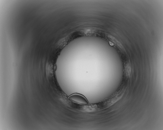 X0000116820571200912241243