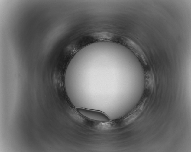 X0000116820573200912241243