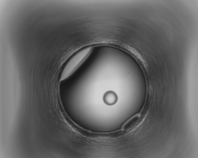 X0000116820577200912241242