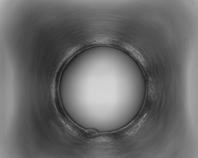 X0000116820578200912241242