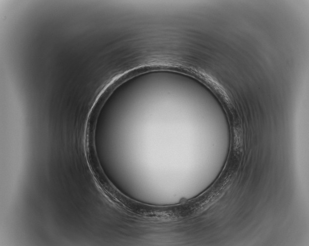 X0000116820580200912241242