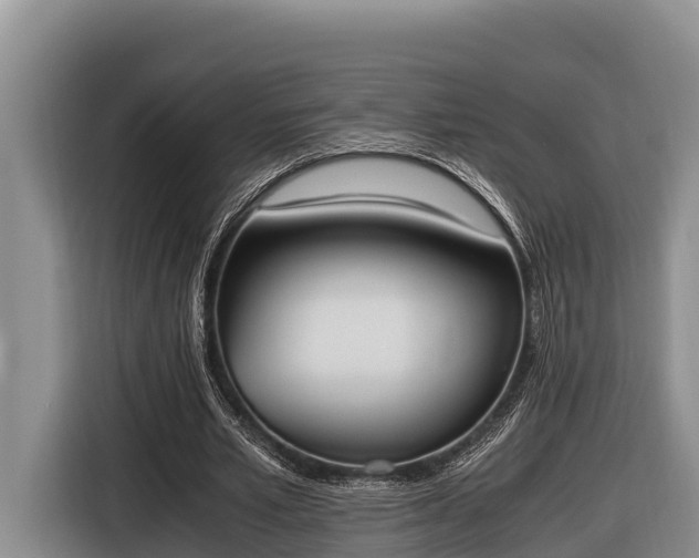 X0000116820581200912241242