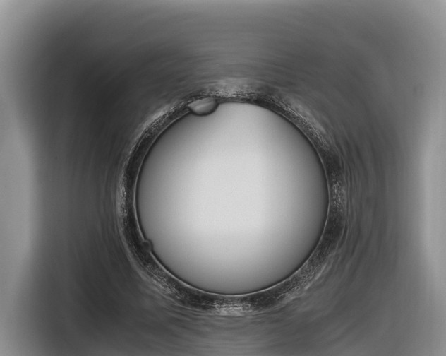 X0000116820587200912241242