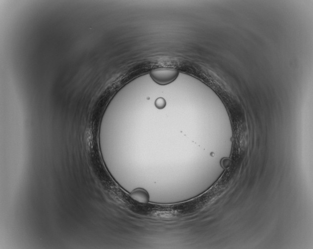 X0000116820595200912241242