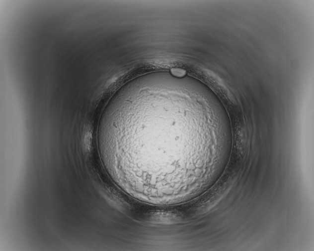 X0000116820596200912241242