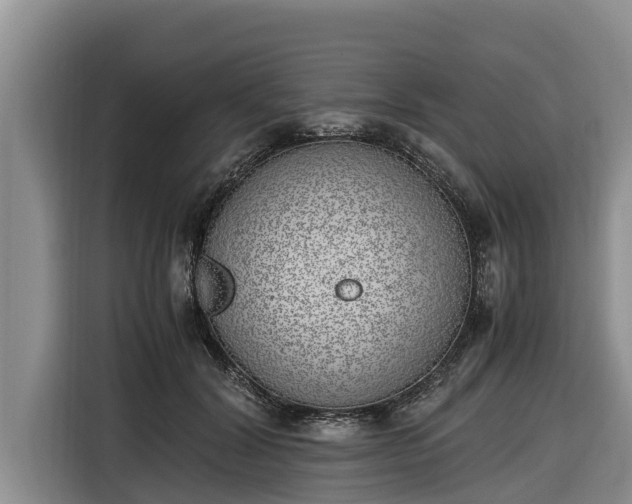 X0000116820604200912241242