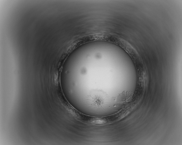 X0000116820610200912241242