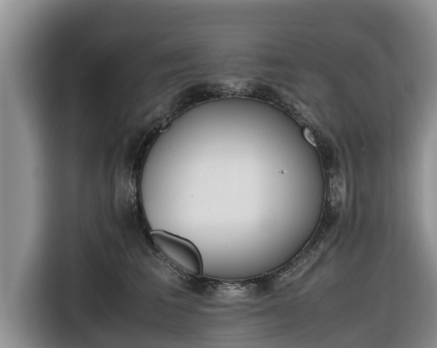 X0000116820613200912241242