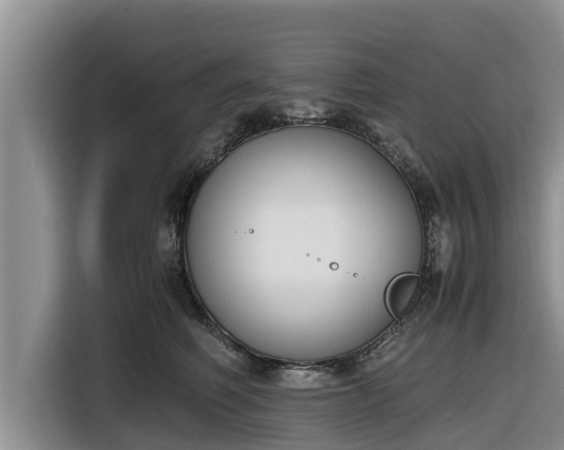 X0000116820614200912241242