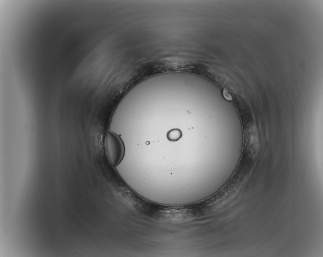 X0000116820615200912241242