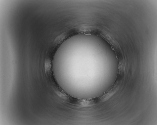 X0000116820623200912241242