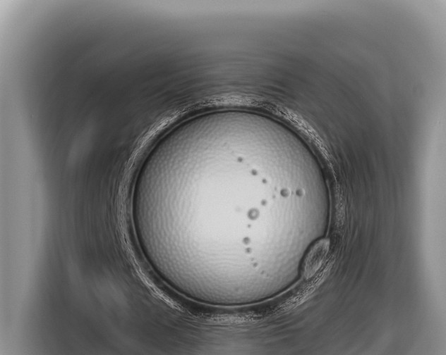 X0000116820625200912241241