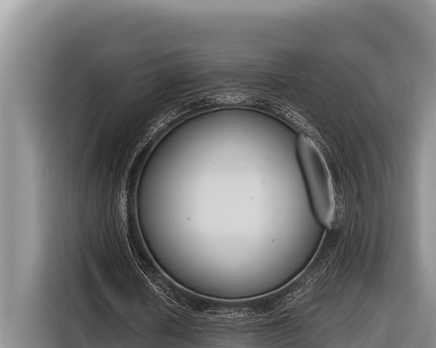 X0000116820626200912241241