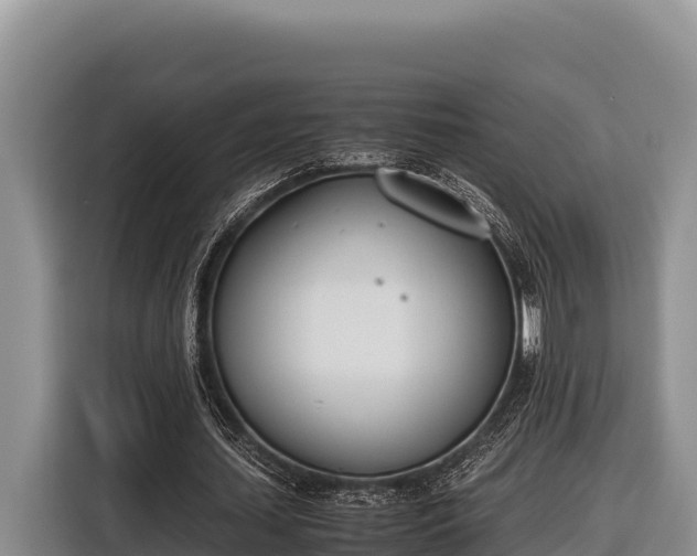 X0000116820627200912241241