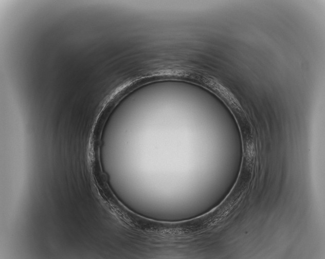 X0000116820628200912241241