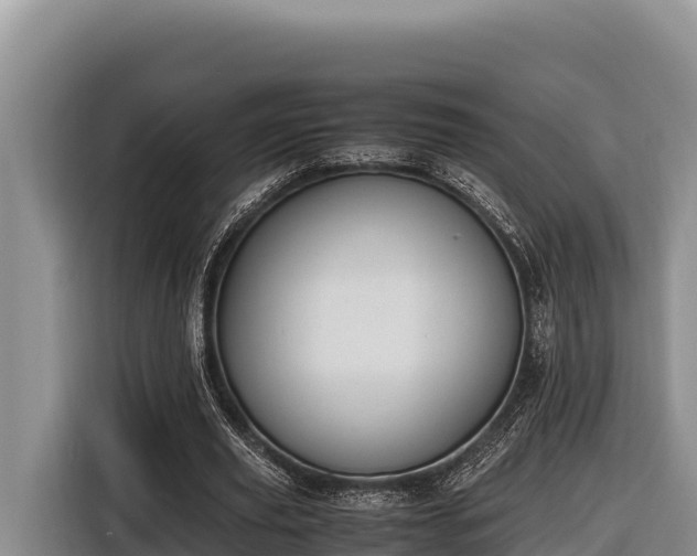 X0000116820629200912241241