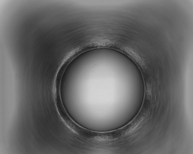 X0000116820630200912241241