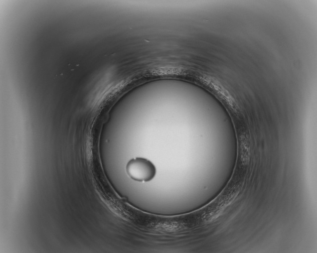 X0000116820631200912241241