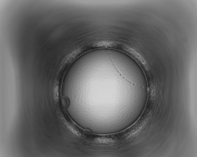 X0000116820633200912241241