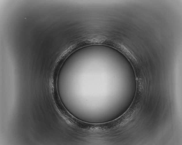 X0000116820634200912241241